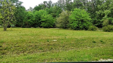 0 Alligator Road Cordesville SC