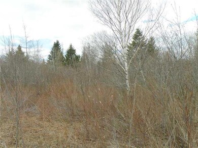 Land/Lot. interior