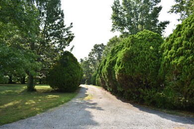 Beautiful Entry