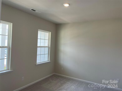 144 Pampas Place unit BF5 125, Statesville, NC 28625 - photo 7