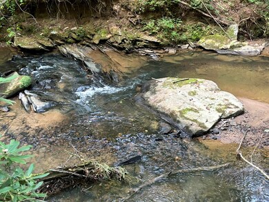 LOT 14 McAfee Knob Rd, Ellijay, GA 30510 - photo 6