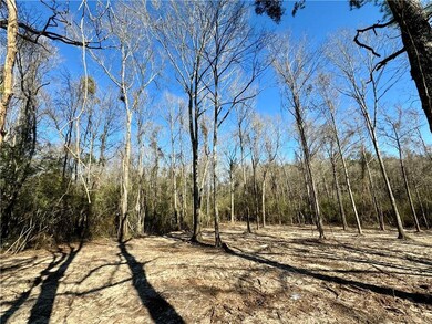 4 Acres Rob Thomas Rd, Franklinton, LA 70438 - photo 3