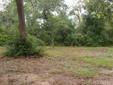 27851 Krezdorn Rd, Hockley, TX 77447 - photo 4