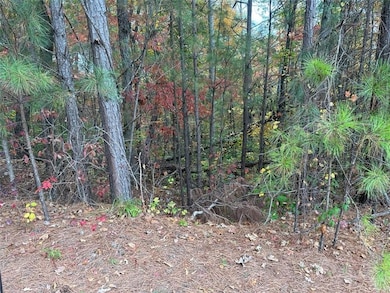 427 Spring Lake Hills, White, GA 30184 - photo 4