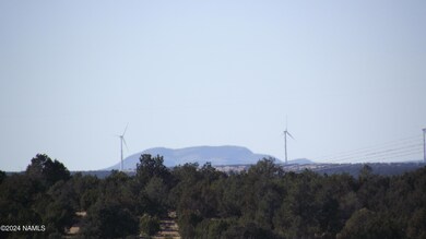 DSCF7253
