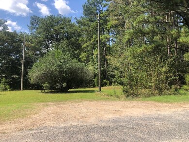 115 Clearview Dr, Sylvester, GA 31791 - photo 5