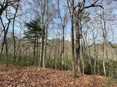 0 Mountain Laurel Rd, Robbinsville (Graham), NC 28771 - photo 5