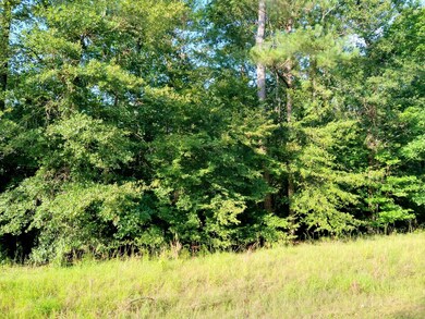 IMG_20250627_183404744_HDR~3