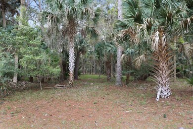 2485 the Haul Over, Seabrook Island, SC 29455 - photo 5