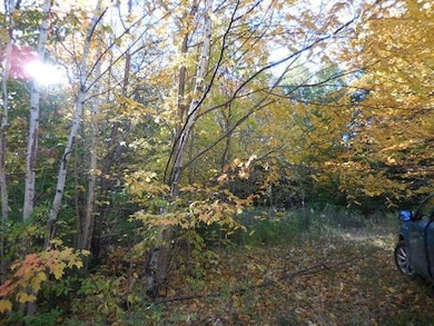 124 Fern Rd, Dover-Foxcroft, ME 04426 - photo 7