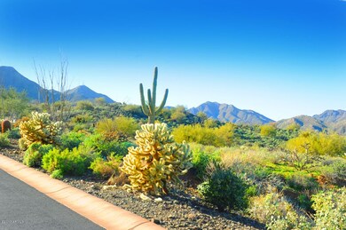 R-Lot#31 Desert Tortoise Trail-Eagles Ne
