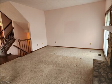 9596 Grist Mill Run, Olmsted Falls, OH 44138 - photo 6