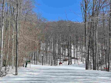 6060 Trillium Woods Dr unit 38, Harbor Springs, MI 49740 - photo 6