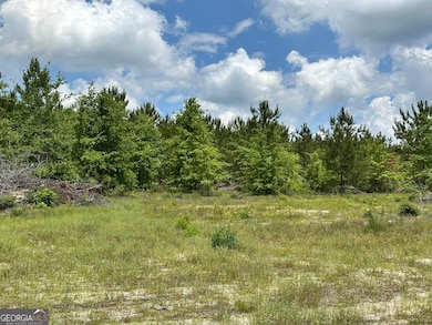 LOT 7.5 U S Highway 19, Dublin, GA 31021 - photo 2