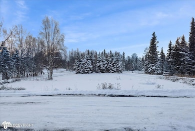 15245 Longbow Dr, Anchorage, AK 99516 - photo 6