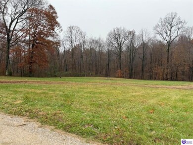 845 Old Glen Dean Axtel Ln, Hardinsburg, KY 40143 - photo 3