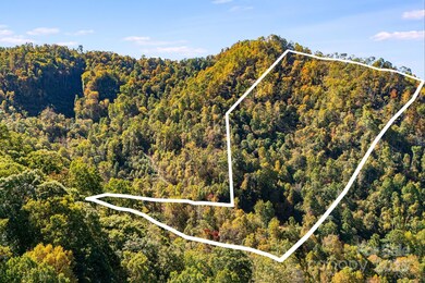 000 Hamburg Rd unit 17, Mars Hill, NC 28754 - photo 3