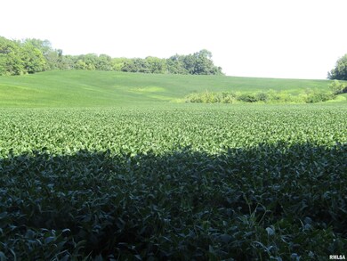 0 N Highway 9 County Rd unit RMAPA1260470, Lewistown, IL 61542 - photo 5