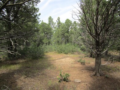 33024 Ponderosa Ridge Dr, Trinidad, CO 81082 - photo 5