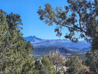 242 Fir Ave, Crawford, CO 81415 - photo 2