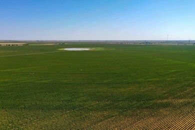 3207 E County Road 5500, Lubbock, TX 79403 - photo 4