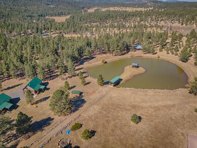 Aerial Property View