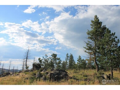 0 Davis Ranch Rd unit 856846, Bellvue, CO 80512 - photo 2