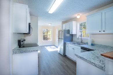 4791 Salem Rd, Spout Spring, VA 24593 - photo 4