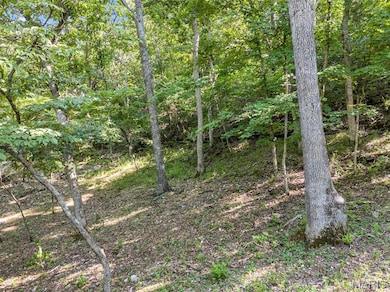 16501 Meadow Hawk Dr, Glencoe, MO 63038 - photo 6