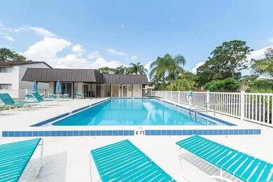 Beautiful Pool