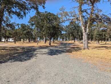 12060 Lazy Ln, Red Bluff, CA 96080 - photo 7