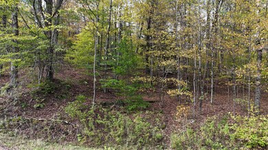 491 Tamarac Rd, Oxford, NY 13830 - photo 6