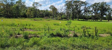 15405 Louisiana 931, Prairieville, LA 70769 - photo 3