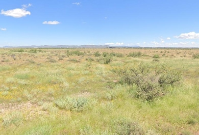 Platino Rd SE, Deming, NM 88030 - photo 7