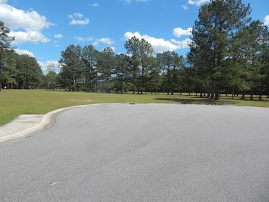 3 lots James Lee Cir, Santee, SC 29142 - photo 2
