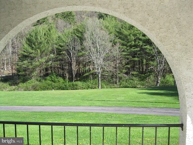 346 Wild Turkey Ln, New Ringgold, PA 17960 - photo 4