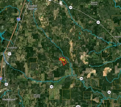 0 Bethesda Rd unit 24909841, Crystal Springs, MS 39059 - photo 3