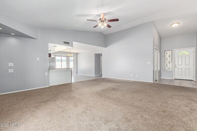 2-1746 N Pinnule