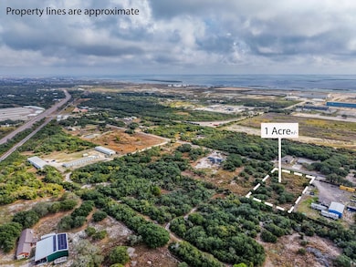 0 Pace Ave unit 149148, Ingleside, TX 78362 - photo 6