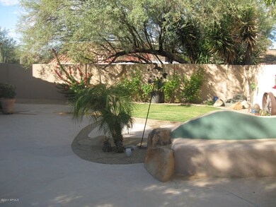 RELAXING BACKYARD