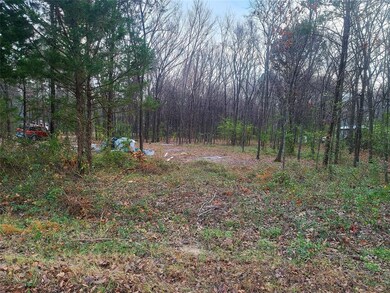 TBD Mapuana Ln Bluebird Ln, Sadler, TX 76264 - photo 3