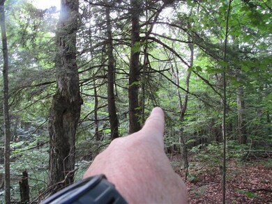 C20R High Meadow Rd unit C20R, Winhall, VT 05340 - photo 5