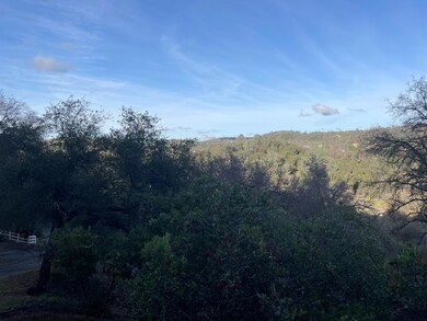 0 Rossler Rd, Placerville, CA 95667 - photo 7