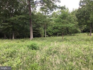 7624 Snowy Mountain Rd, Circleville, WV 26804 - photo 2