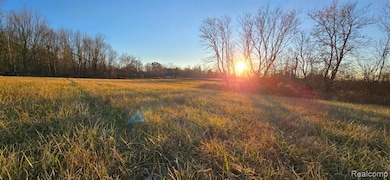 3 Mason Rd, Webberville, MI 48892 - photo 3