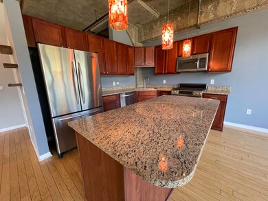 Liberty Lofts Condos unit 212, Ann Arbor, MI 48103 - photo 5