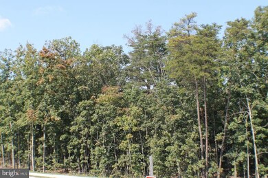 43599 White Cap Terrace, Chantilly, VA 20152 - photo 7