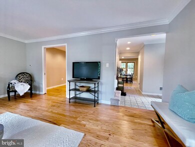 5033 Domain Place unit 34, Alexandria, VA 22311 - photo 3