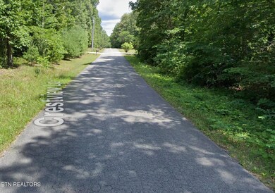 ROAD VIEW