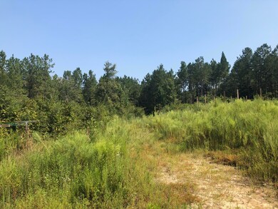 0 Stonecypher Rd, Lucedale, MS 39452 - photo 5